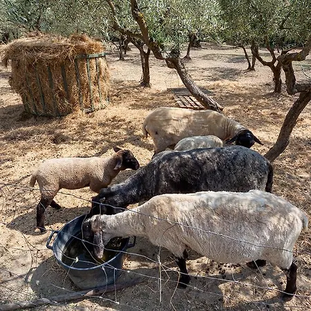 Alloggio per agriturismo Il Torrione