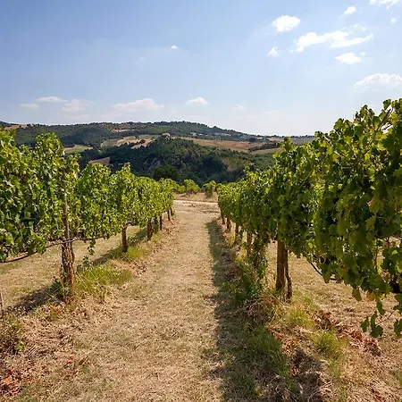 Vakantieboerderij Il Torrione Saragano