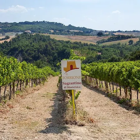 Il Torrione Saragano